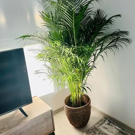 Apartment Mosaic64 *